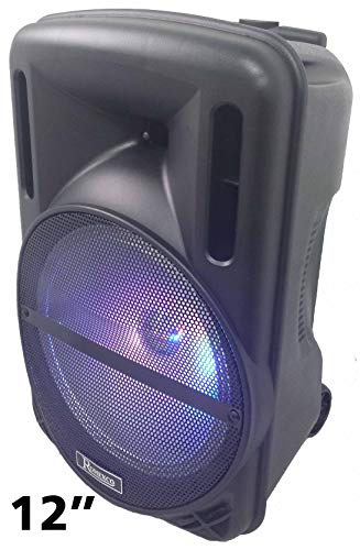 altavoz portatil bluetooth trolley subwoofer 12 con 80w reales 700w