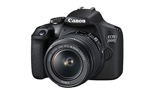 canon eos 2000d ef s 18 55mm f35 56 iii juego de cmara slr 241 mp cmos