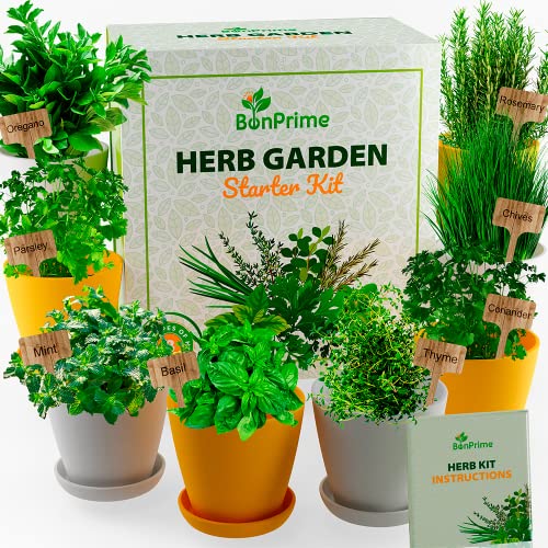 bonprime kit hierbas aromaticas set jardineria con 8 semillas listas a