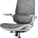 SIHOO M59AS Ergonomic Office Chair with Folding 3D Armrests, Double Backrest and Dynamic Lumbar Support, Mesh Chair for Home Office (Grey)