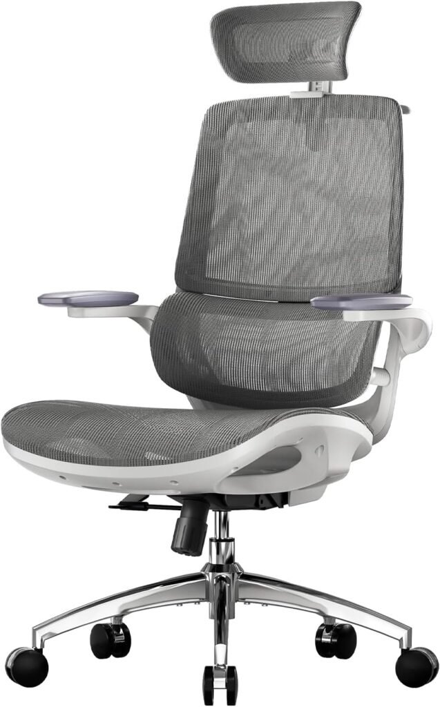 SIHOO M59AS Ergonomic Office Chair with Folding 3D Armrests, Double Backrest and Dynamic Lumbar Support, Mesh Chair for Home Office (Grey)